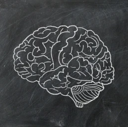 Brain Drawing On Chalkboard